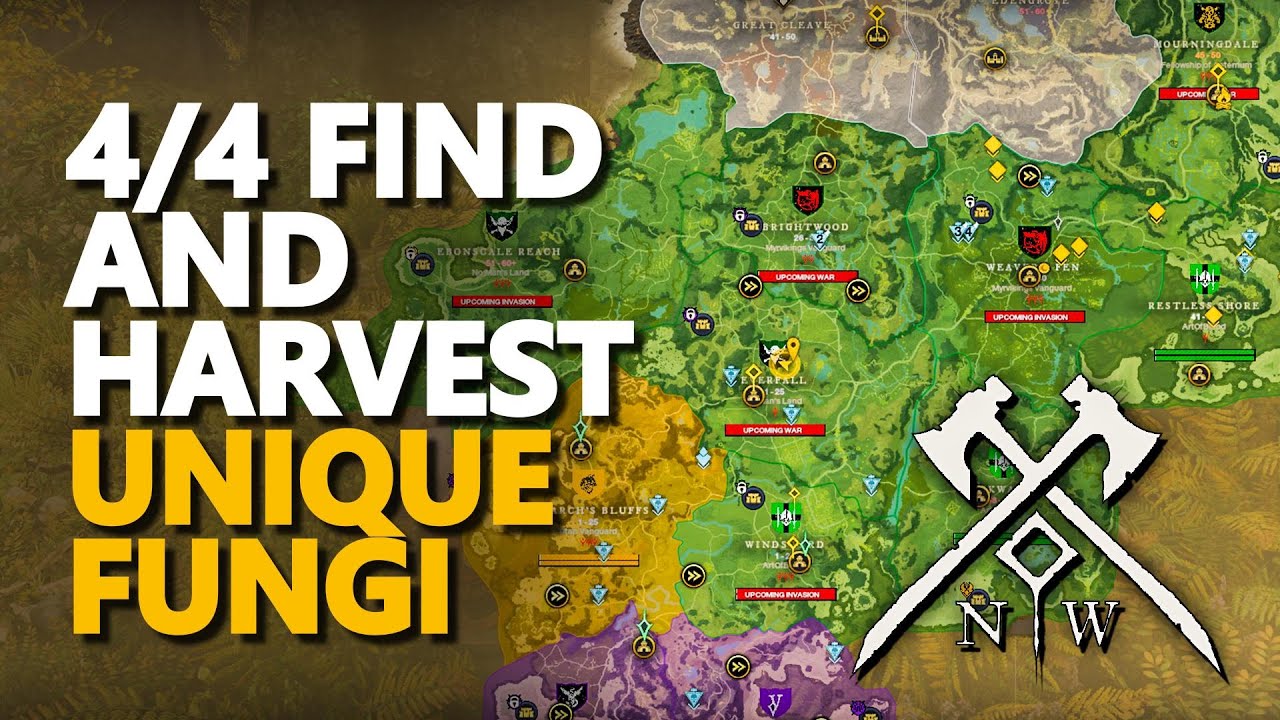 Find and Harvest Unique Fungi New World