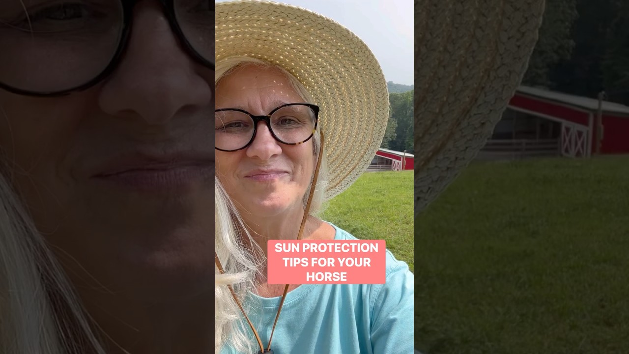 Protecting Your Horse from Sunburn with Tips & Products 🐴☀️🔥 #horsecare #horselover #horsetips