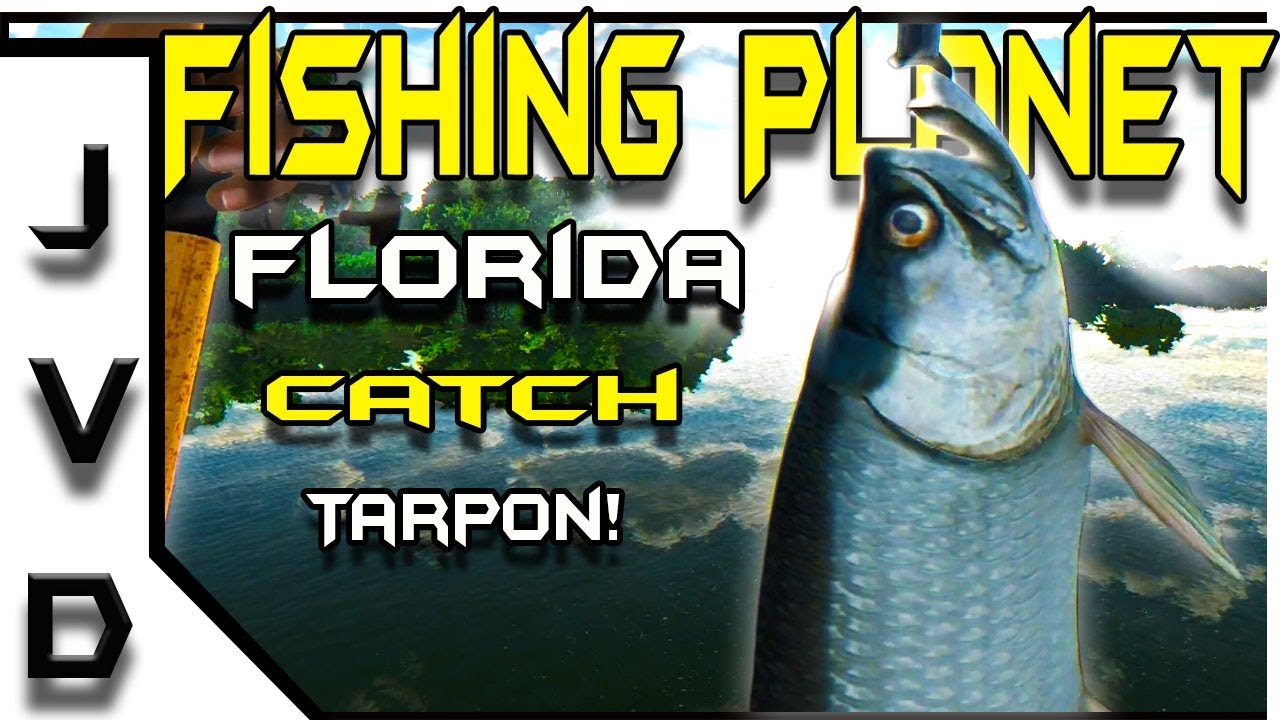 Fishing Planet Gameplay | Ep 23 | Catch Tarpon! | Florida Everglades Guide