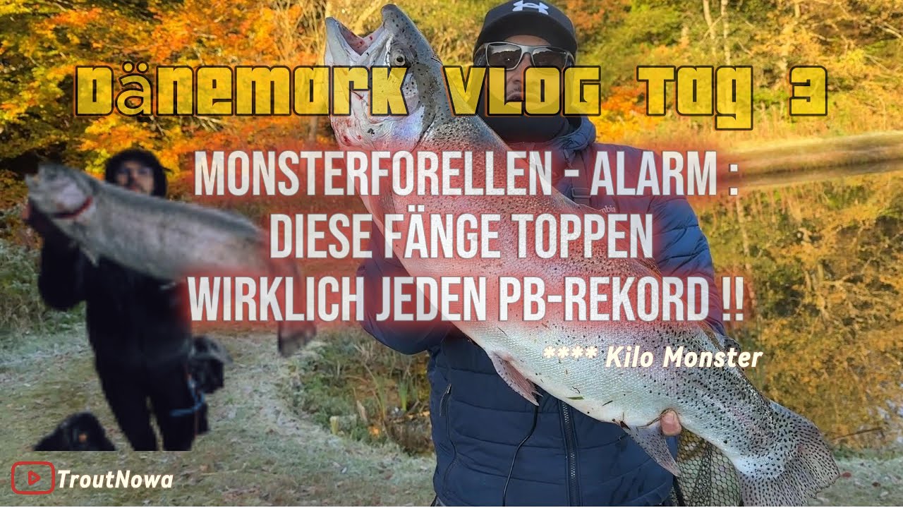 Monsterforellen PB's in Medestedet - Forellenangeln in Dänemark 2025 - ULfishing - Big Trout -Tag3/5