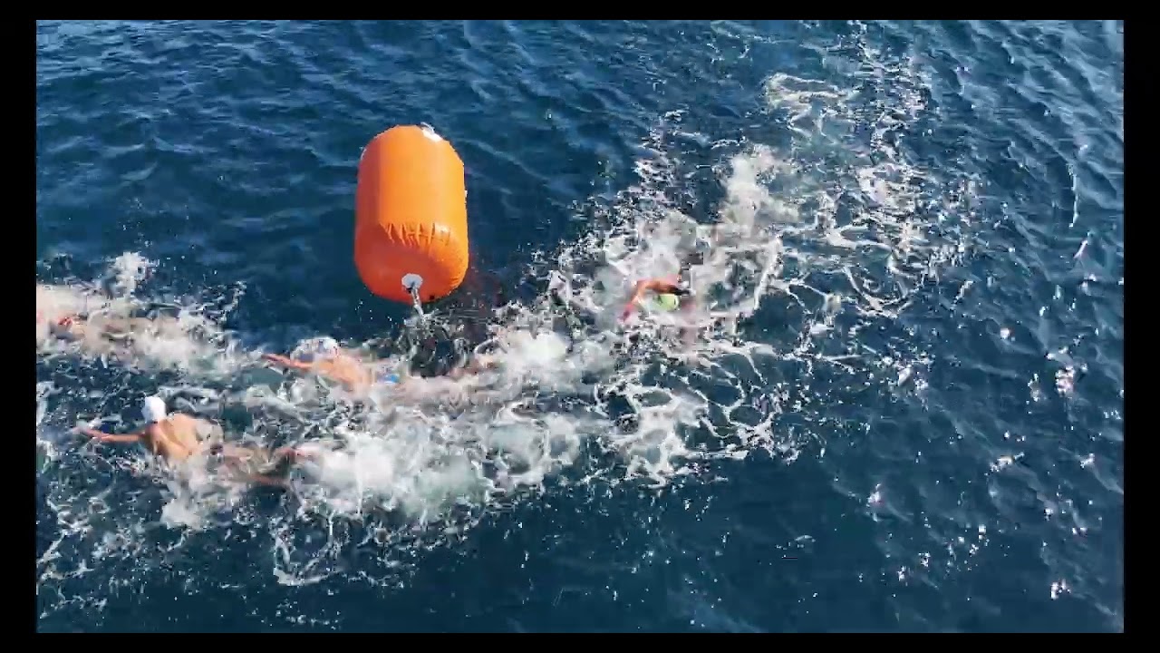 Swimsilvestre de Gáldar 2025, playa de Sardina del Norte