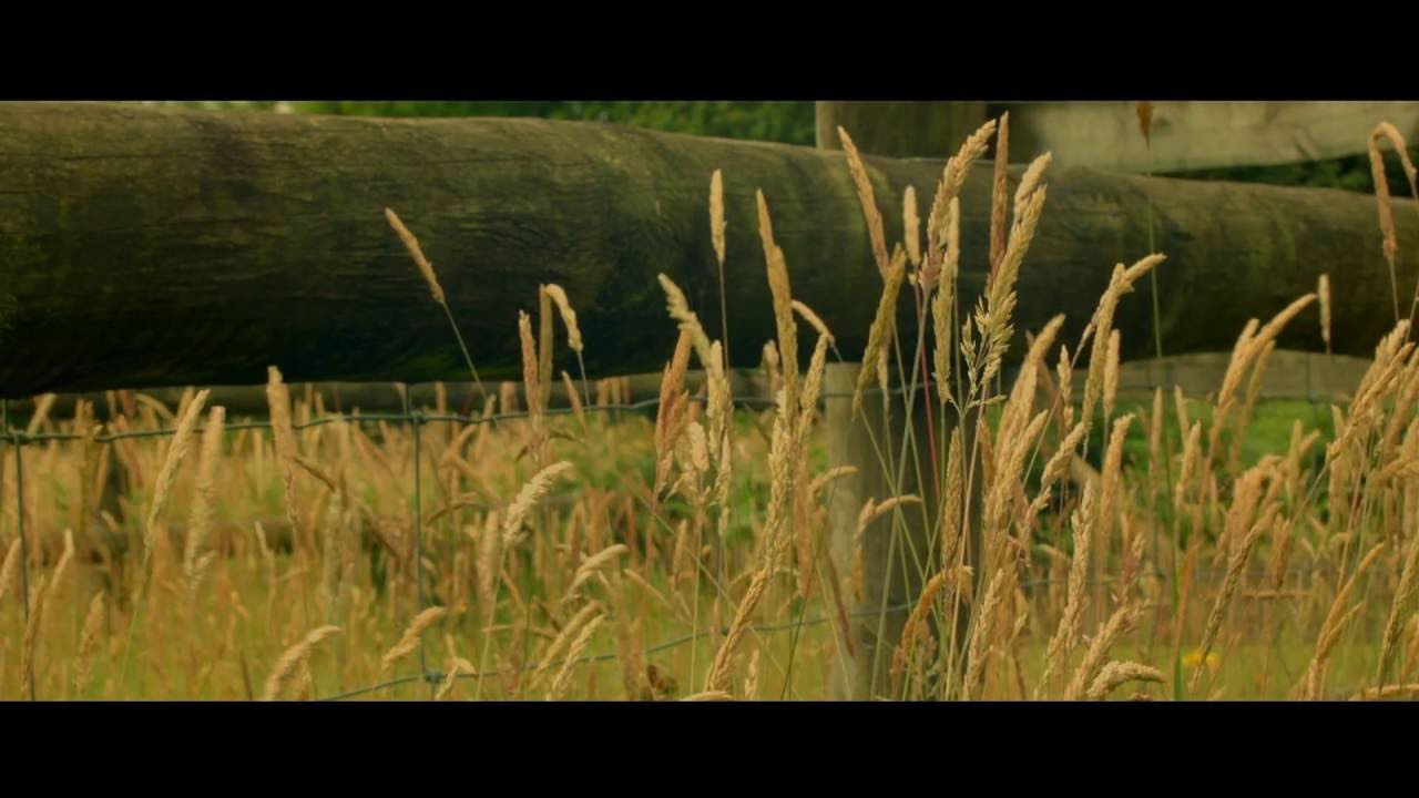 Blackmagic BMPCC Test Footage ProRes 422 HQ