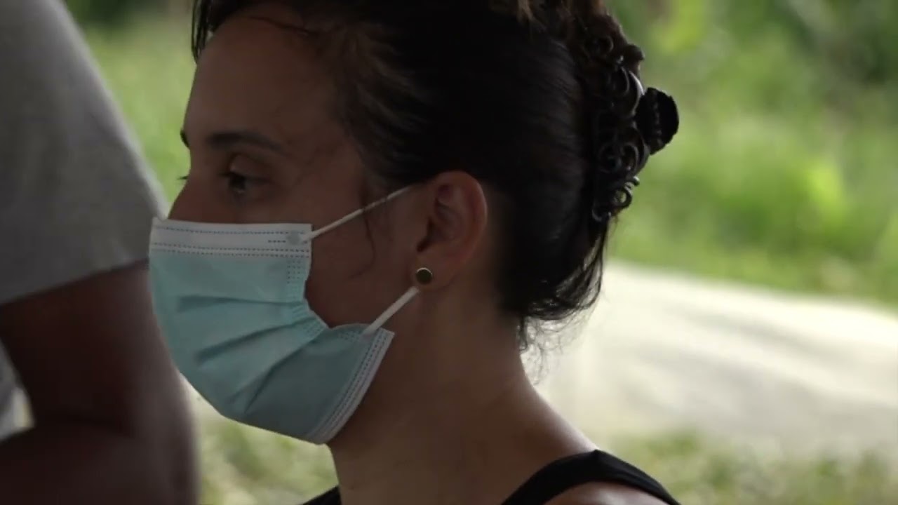 Le soja, une culture de diversification pour La Réunion