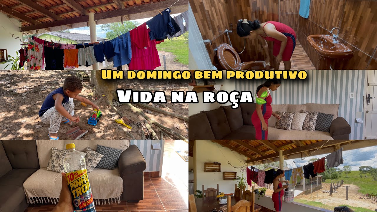 UM DOMINGO PRODUTIVO AQUI NA ROÇA 🍃 muita limpeza e organização! 