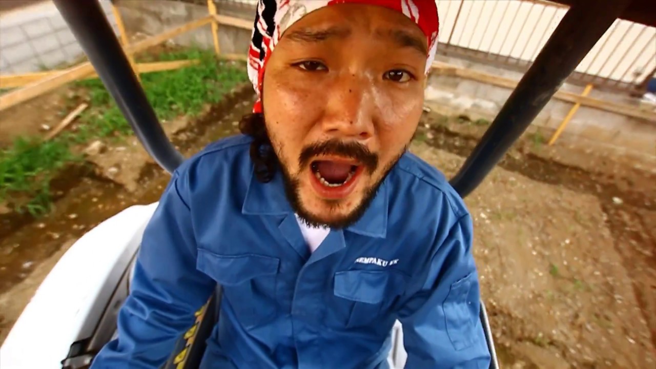 『WORKING MAN / ANSA』