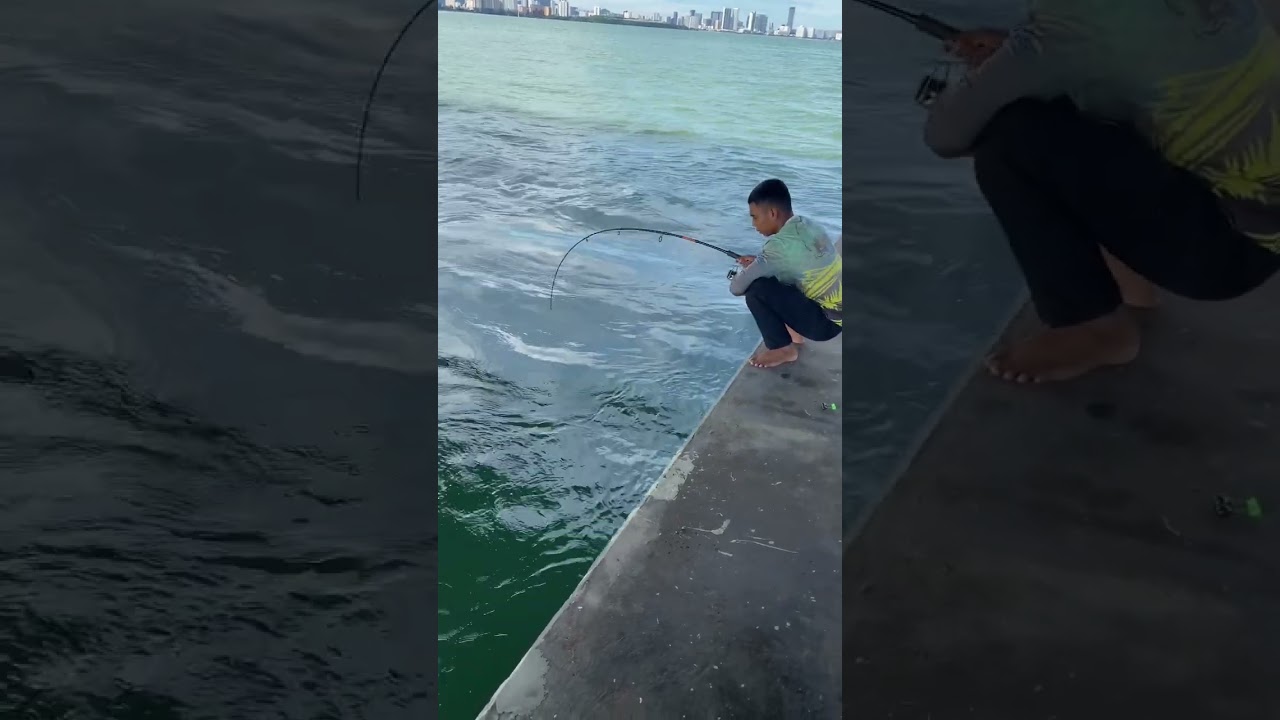 Penghuni dasar jambatan pulau pinang!!!