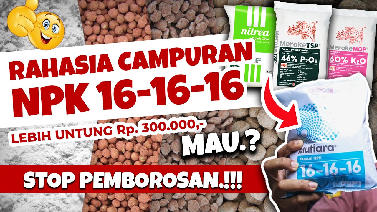 STOP PEMBOROSAN.❗❗❗ RAHASIA CAMPURAN PUPUK NPK 16-16-16, LEBIH UNTUNG Rp. 300.000, MAU.?? | Q&A36