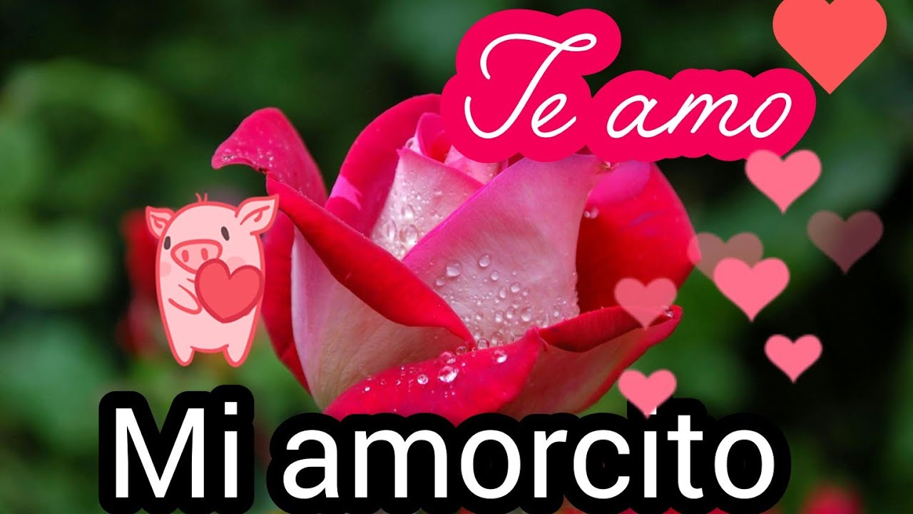 Eres el amor de mi vida mensaje a la distancia te amo 💖