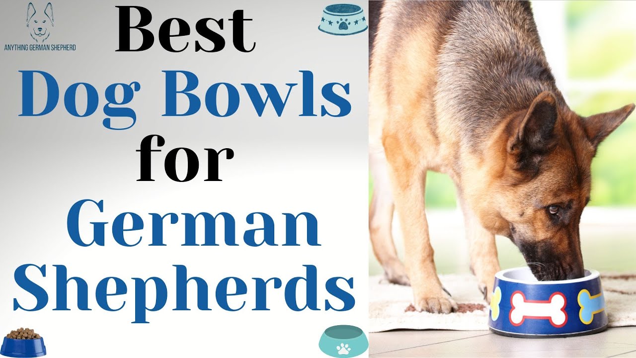 Best Dog Bowls for German Shepherds: Things To Keep in Mind