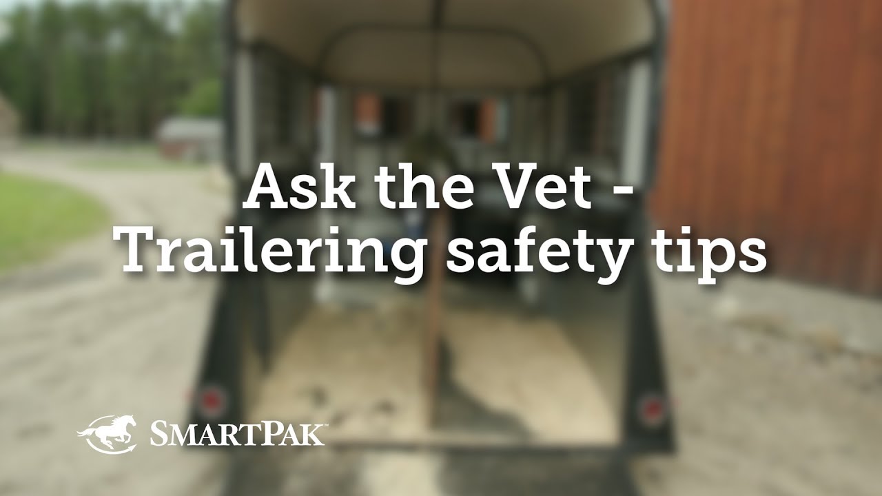Ask the Vet - Trailering safety tips