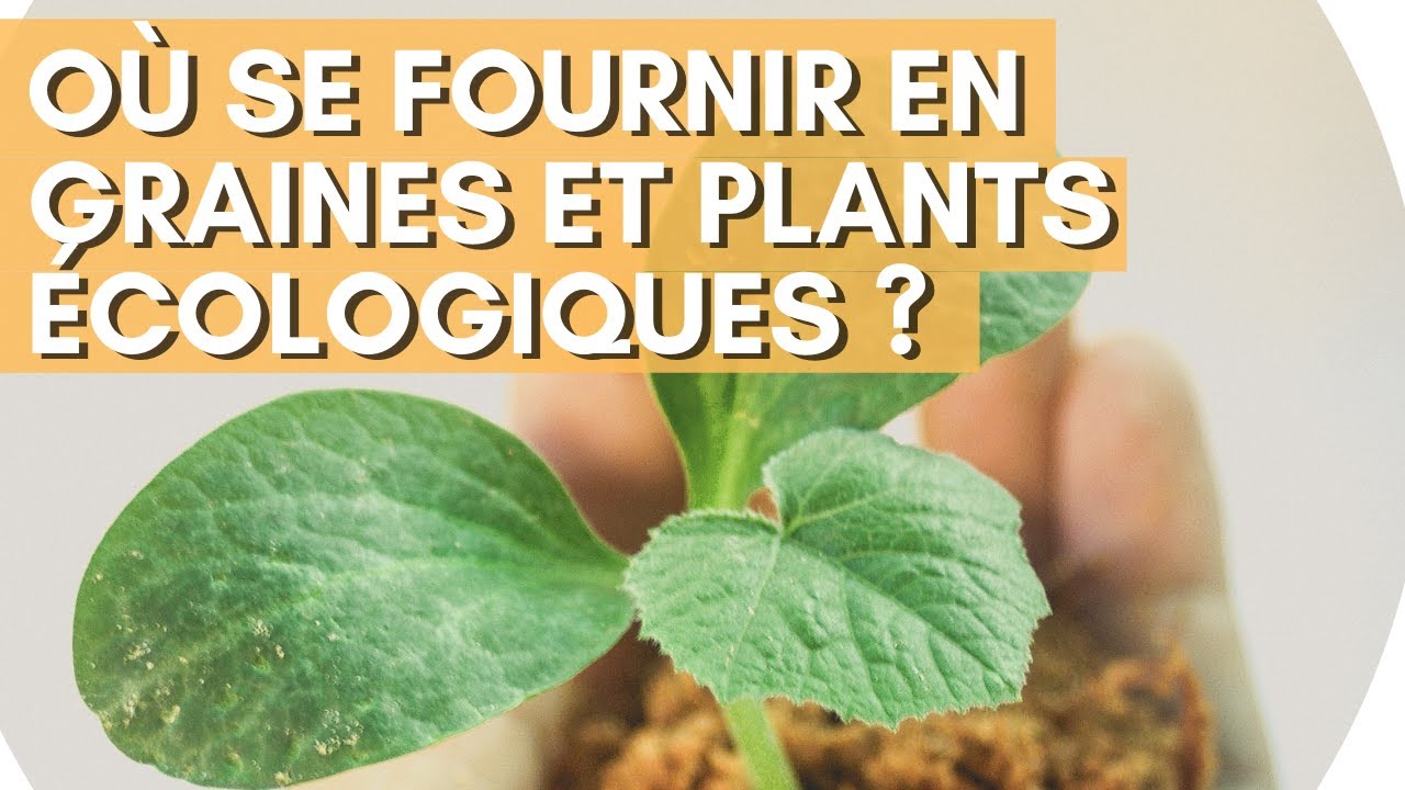 🌿En France, où se fournir en graines et plants écologiques ? Pour jardiniers et agriculteurs