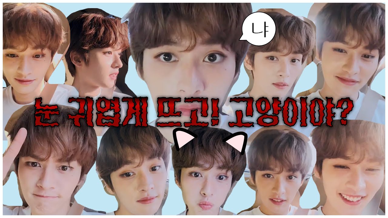 [스트레이키즈/리노] 왕방울 리노에게 빠지고 싶은 분들만 보세요