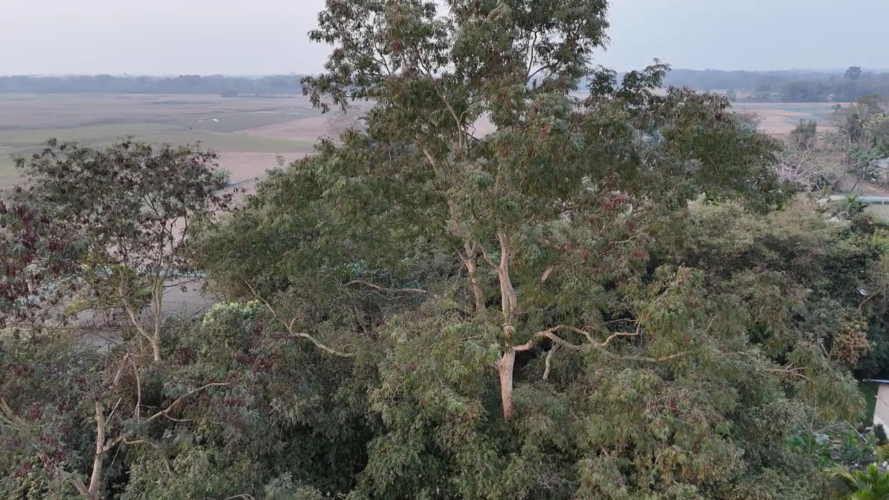 DRONE VIEW NOTHING