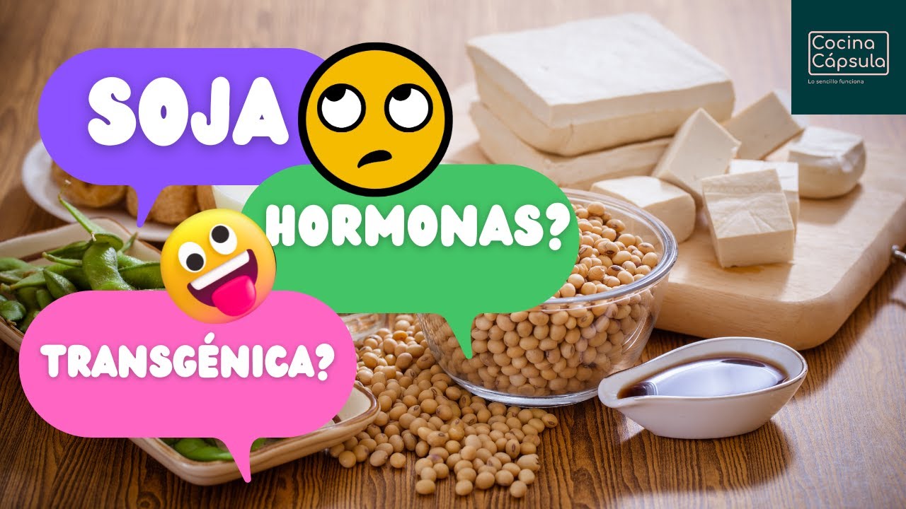 SOJA: salud hormonal, menopausia, transgénica?, deforestación...