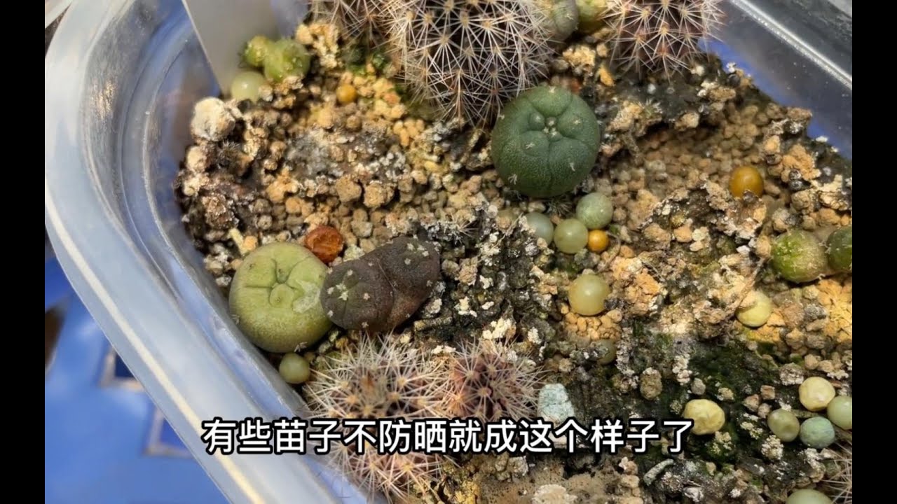 遮阳还要继续，这个太阳随季节的变动