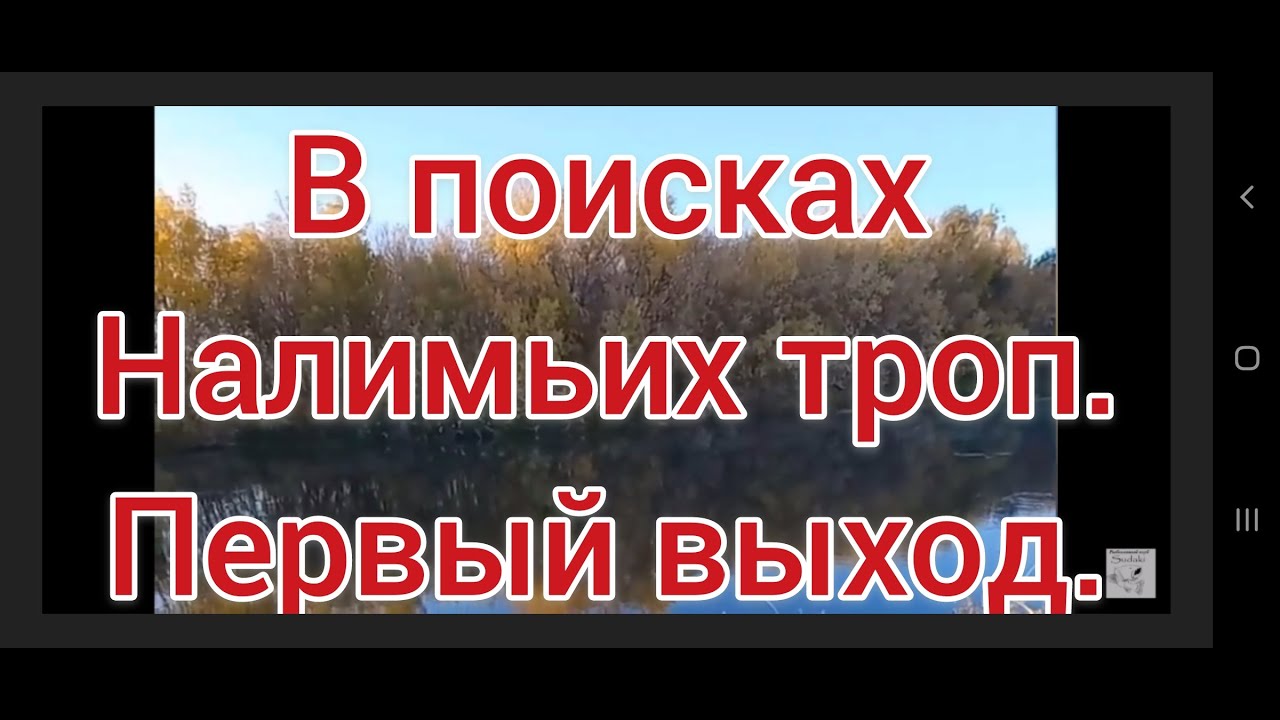 Ловля налима осенью. Поиск налимьих троп . 1 часть . Рыбалка 2021 . Налим 2021 .