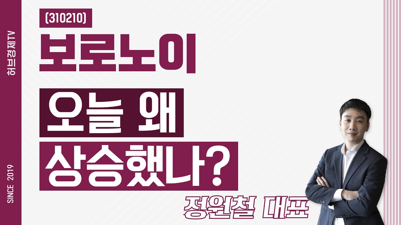보로노이 (310210) - 오늘 왜 상승했나?