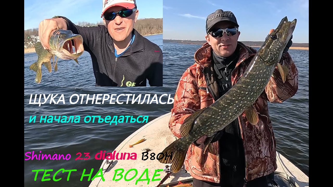 Щука после нереста начала питаться. Shimano 23  dialuna B80H тест на воде.