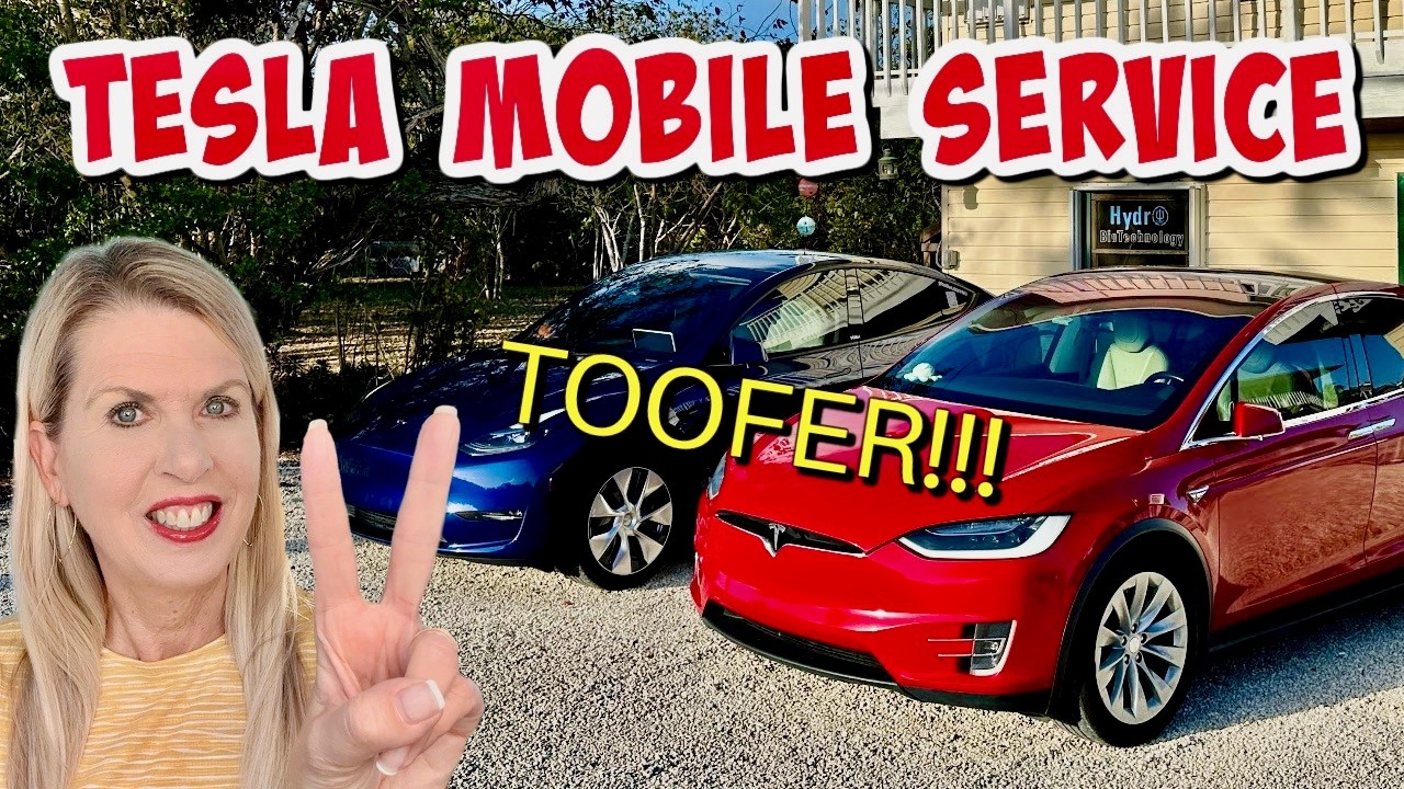 Tesla Mobile Service 