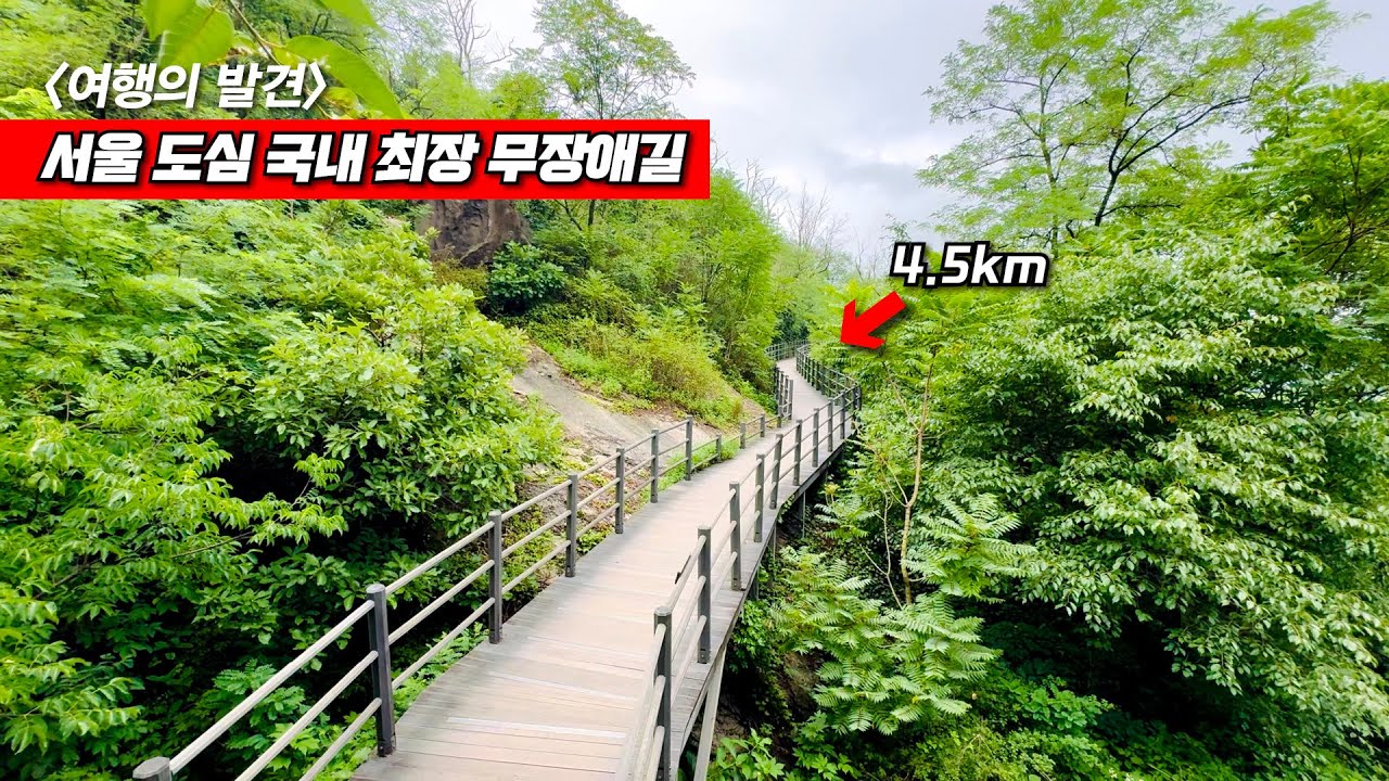 서울 한복판 숨겨진 숲속 산책 트래킹 - 노약자, 임산부, 유모차, 휠체어 대환영! - 시장 노포 손칼국수
