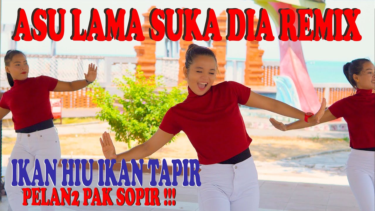 DJ REMIX A SU LAMA SUKA DIA TIKTOK TERBARU
