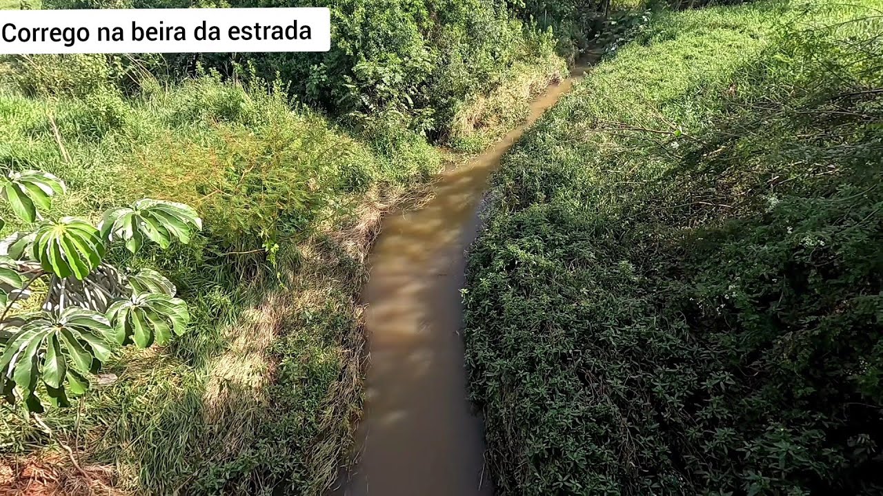 Ninguém dava nada pra esse lugar até hoje.. Dourado bicudo e traíra gigante no bambu Pescaria 