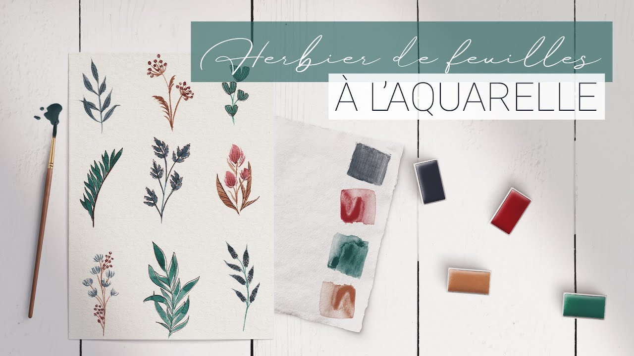 TUTO AQUARELLE pour débutant | Dessine un herbier de feuilles avec moi
