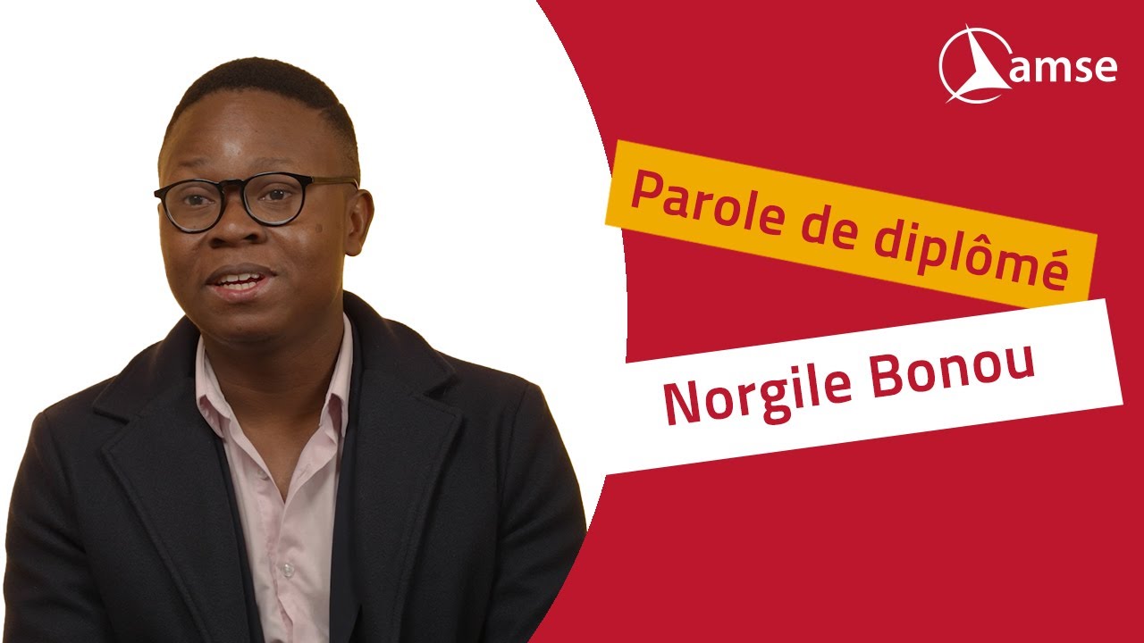 Norgile Bonou, Data Scientist chez Airbus SAS
