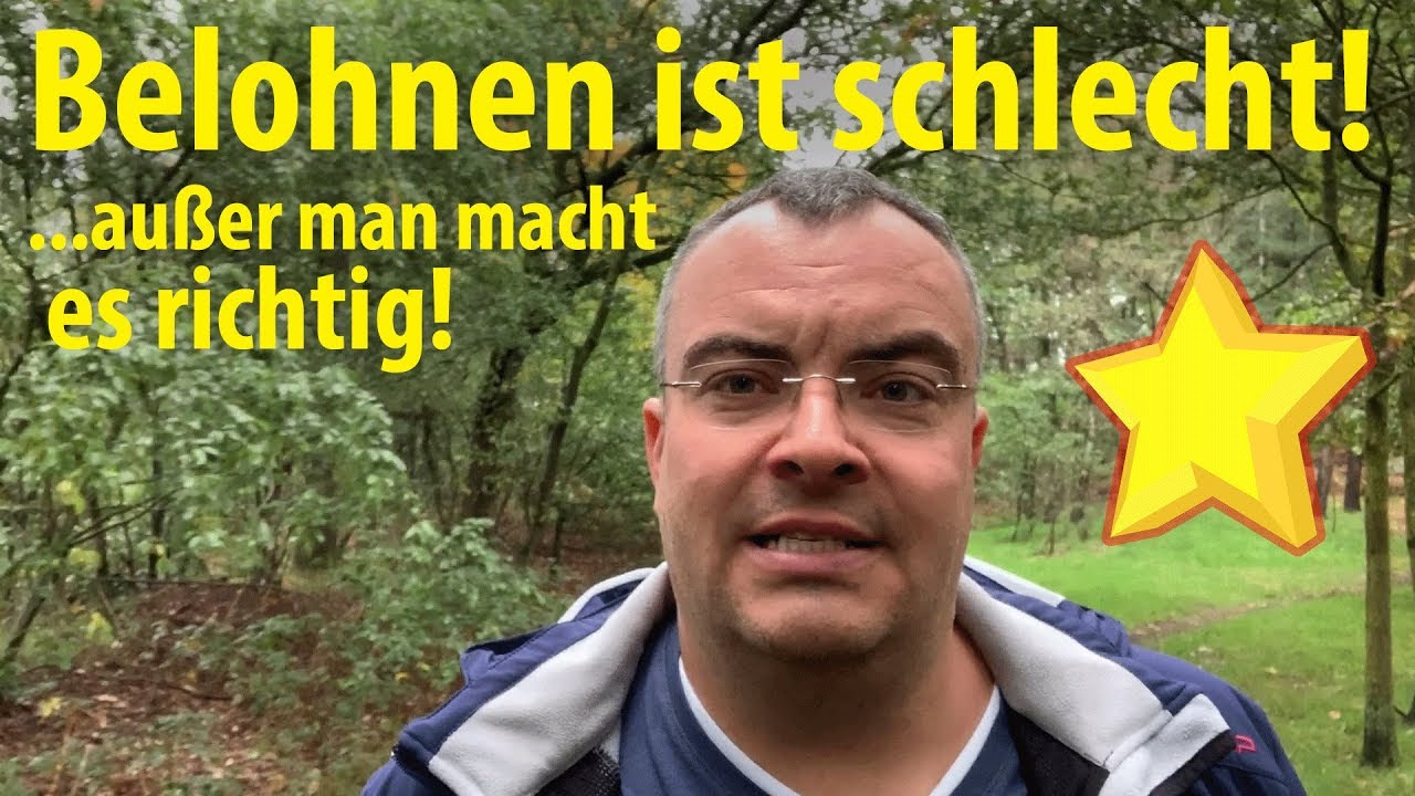Belohnen ist (auch) schlecht! ...außer man macht es richtig! | Lehrerschmidt - einfach erklärt!