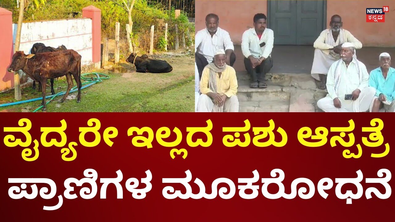 No Doctors at Vijayapura Veterinary Hospital | ನಾಮಕಾವಸ್ತೆಗೆ ಪಶು ಆಸ್ಪತ್ರೆ. ಇಲ್ಲಿ ವೈದ್ಯರೂ ಇರಲ್ಲ