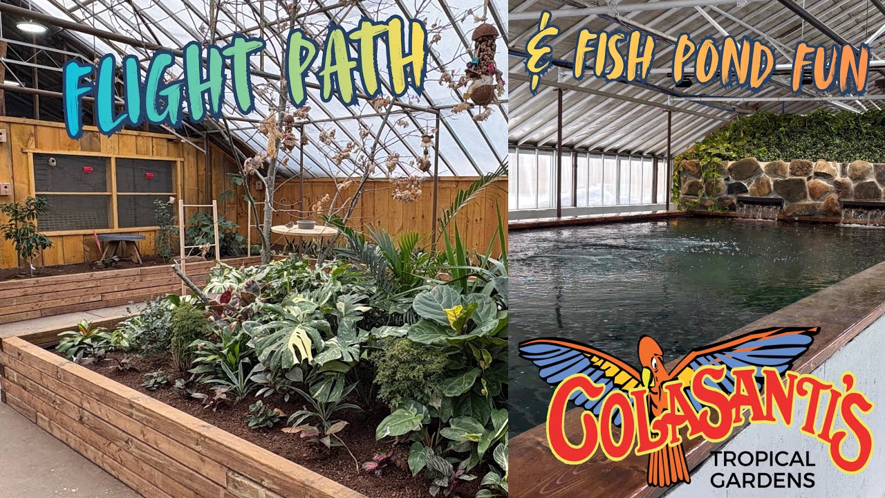 January 2026 Colasanti’s Fun