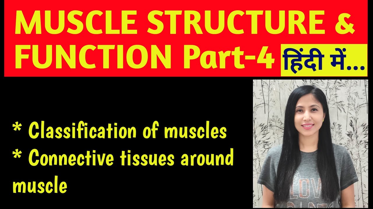 MUSCLE STRUCTURE AND FUNCTION PART-4 | SIMPLIFIED| TYPES OF MUSCLE|2025| #hindi, #connectivetissue