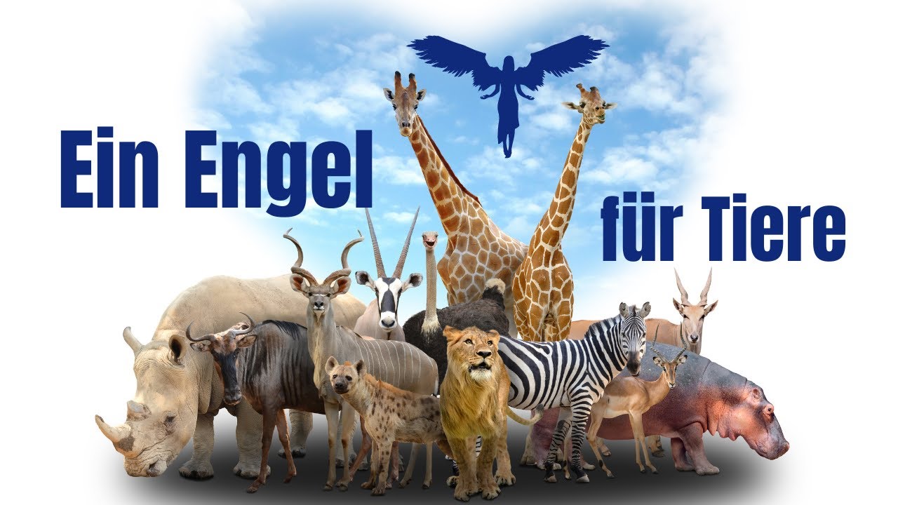 Erzengel Fhelyai hilft Tieren in Not: Lade ihn ein!