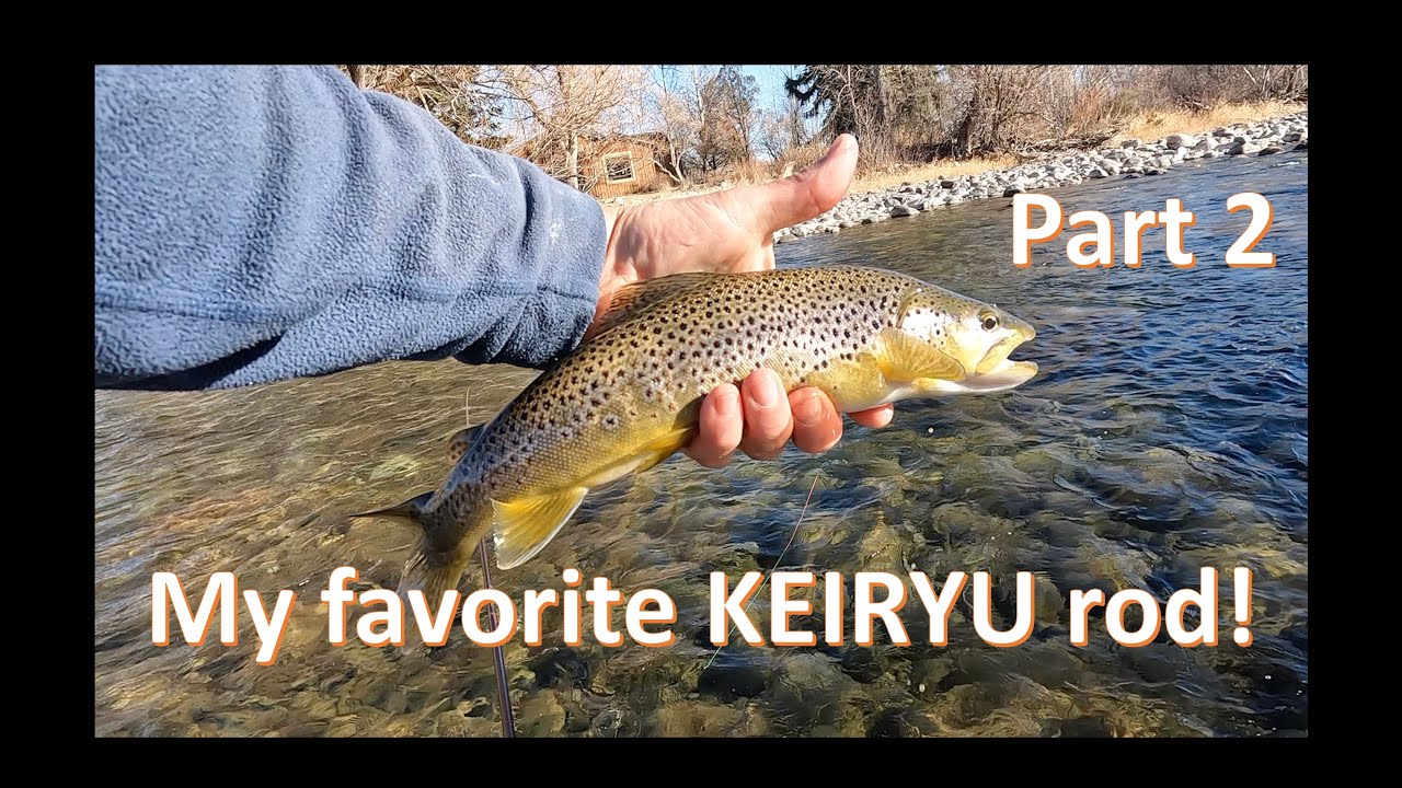 My favorite Keiryu rod - Part 2