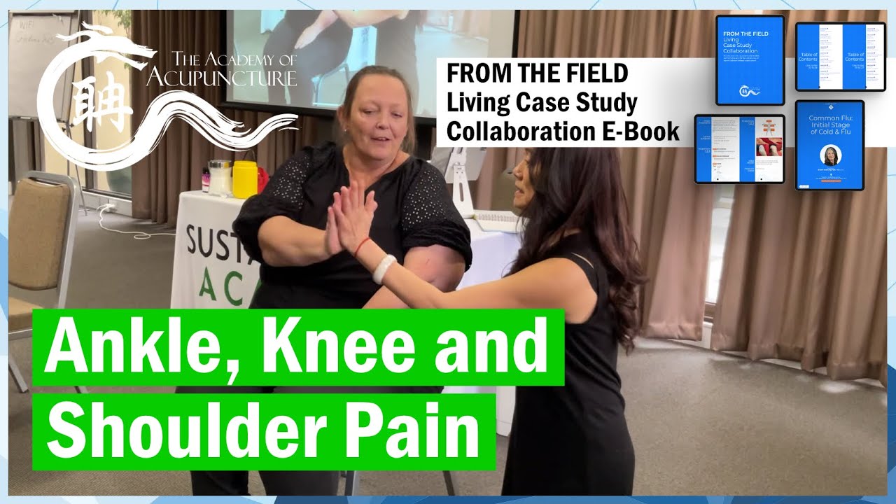 Knee, Shoulder, Low back, and Shoulder Pain - one needle 