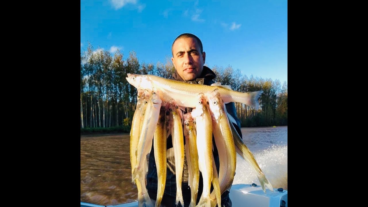 PESCA DE TERRIBLES MATUNGOS EN EL R&Iacute;O DE LA PLATA CON SUDESTADA.