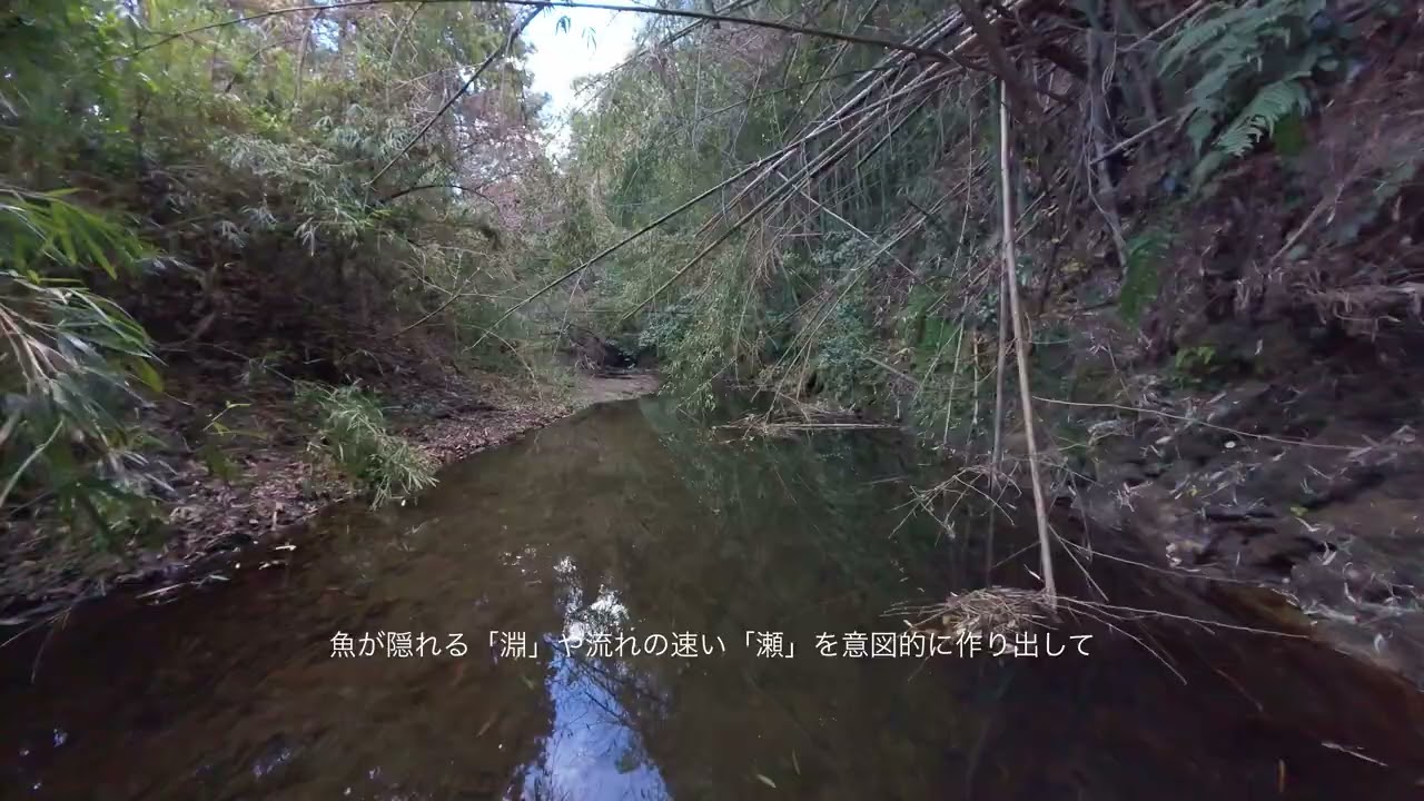 いたち川（横浜市栄区）