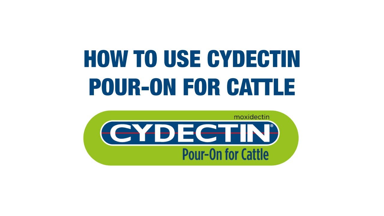 How to Use Cydectin Pour-On for Cattle