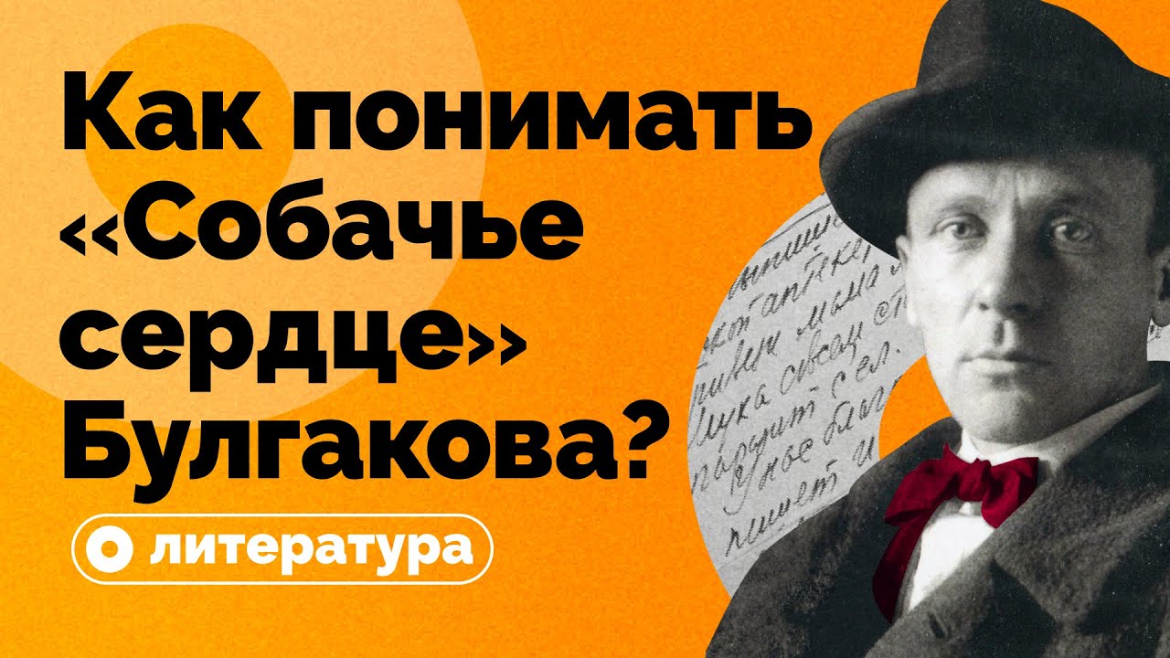 Как понимать «Собачье сердце» Булгакова?