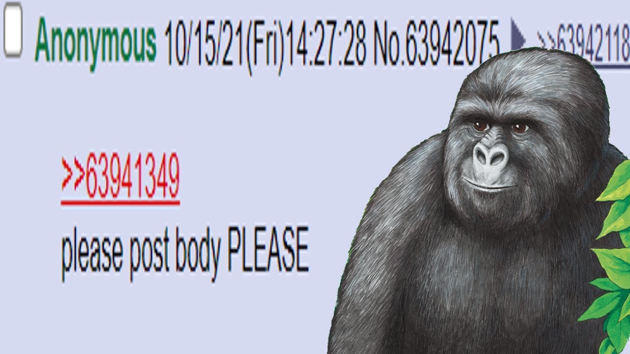 That time 4chan ate Gorilla Food to become BIG
