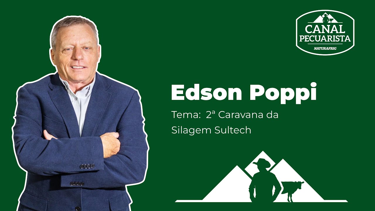De Olho no Campo: Silagem
