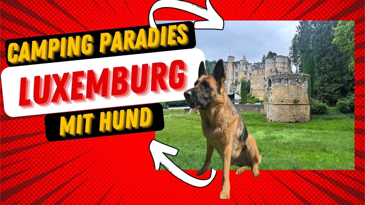 DAS GEHEIMNIS dieses Naturcamping-Paradies kennt (fast) niemand - perfekt für Dich und Deinen Hund!