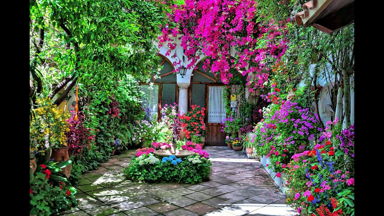 Patios De Córdoba