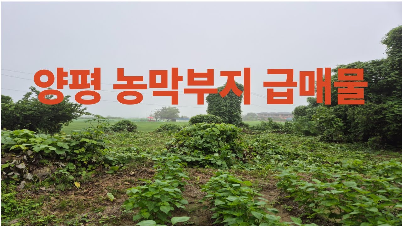양평 농막부지 급매물