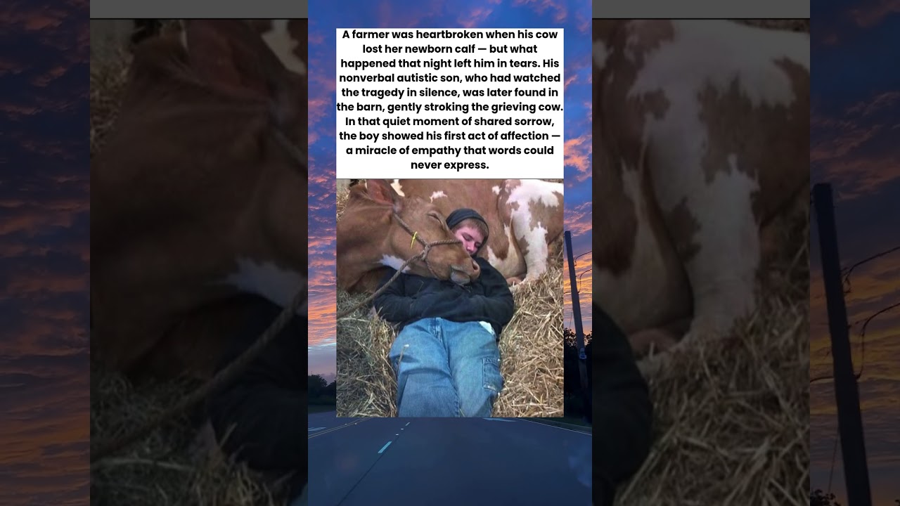 Farmer's Nonverbal Autistic Son Comforts Grieving Cow in a Miracle of Pure Compassion ❤️