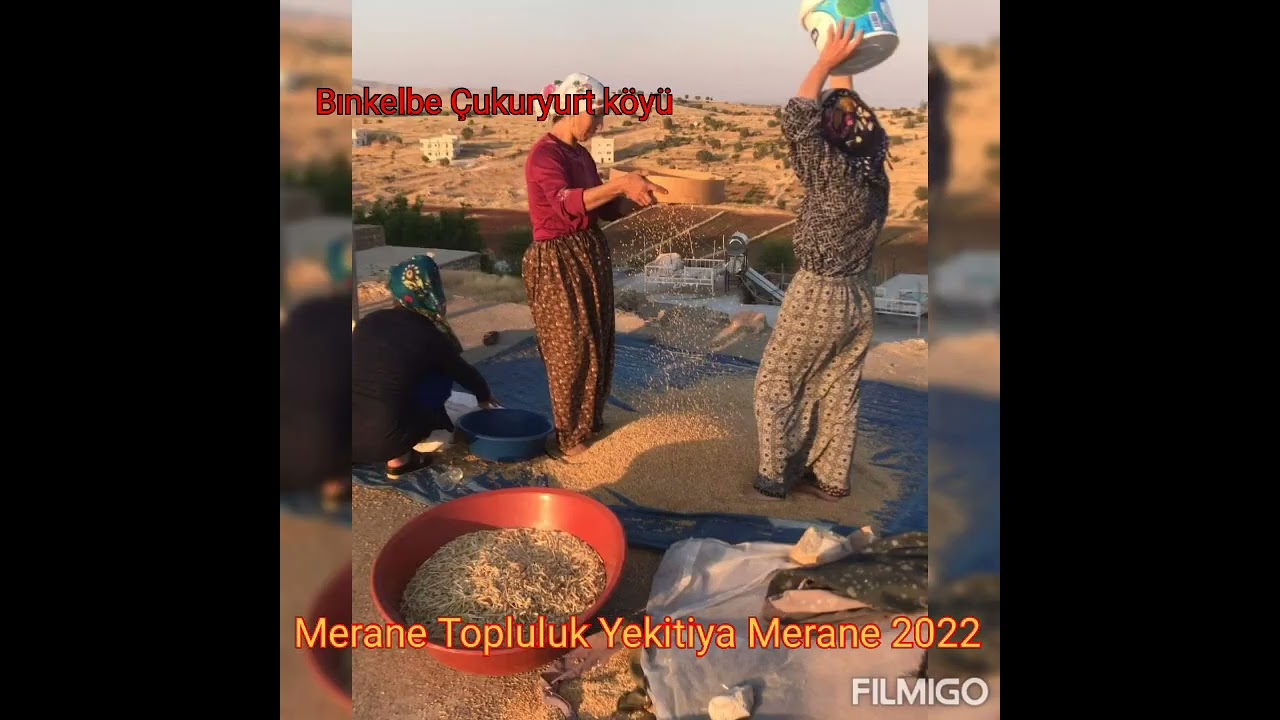 Çukuryurt köyü Gercüş Batman Batman Kercos gunde Bınkelbe Mehmet Selim Kaplan 🐯🐅 merane li