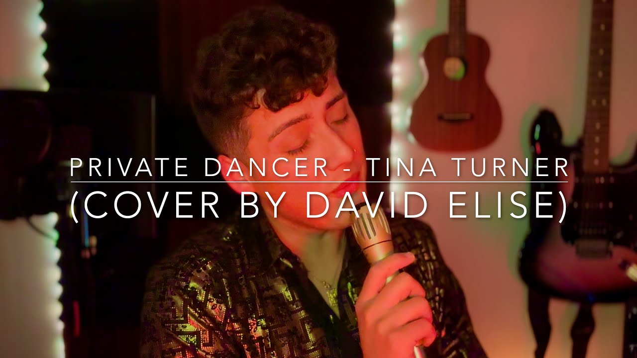 Private Dancer - Tina Turner (Cover by David Elise)