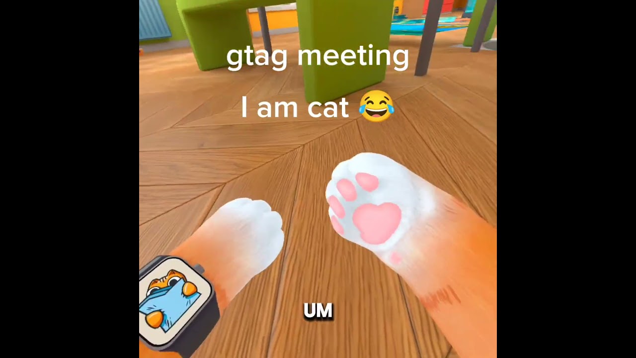 Когда тег гориллы встречается, я &mdash; кот 😂 | я &mdash; кот | #iamcat #shorts #vr #gorillatag #gtag #cats ...