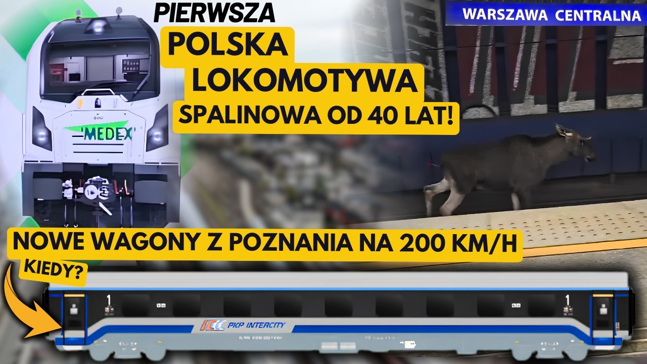 Nowe wagony dla PKP Intercity, Łoś na centralnej, NEWAG z nową generacją lokomotyw, PESA i POLREGIO