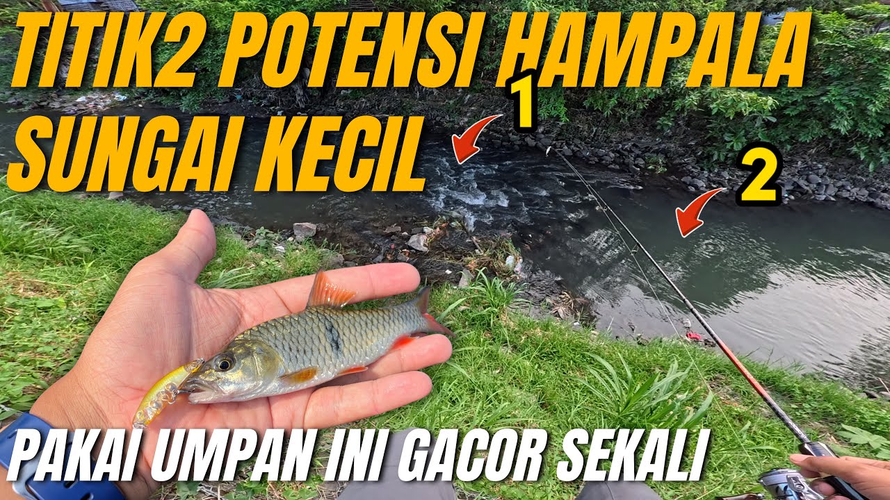 TERNYATA DISITU IKANNYA KUMPUL🤩🔥MANCING CASTING HAMPALA JADI SEMUDAH INI | DAIDO CABRINI STREAM ROD